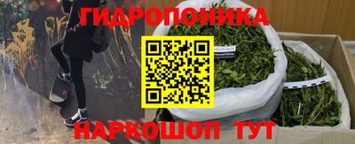 спайс Тара
