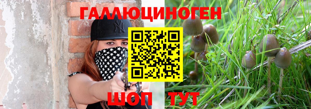 Галлюциногенные грибы GOLDEN TEACHER Гагарин