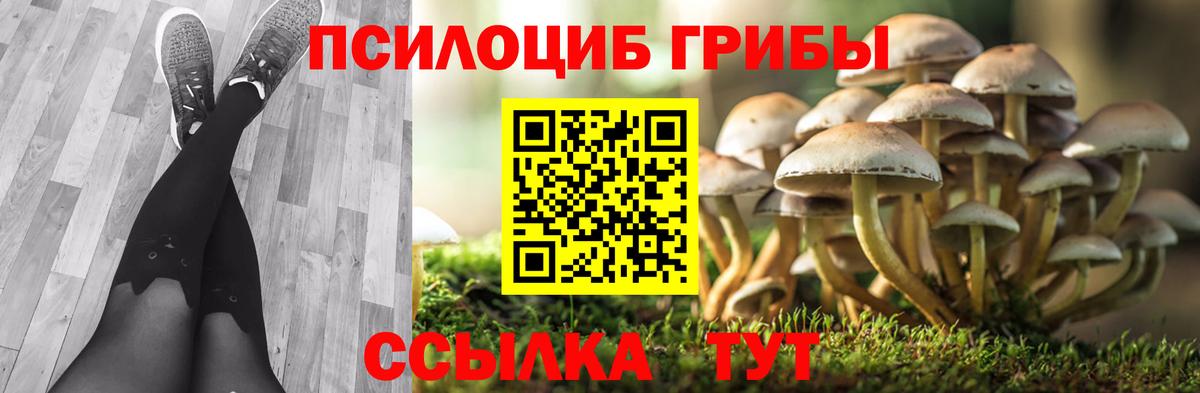 Гагарин  Галлюциногенные грибы прущие грибы  Псилоцибиновые грибы прущие грибы  наркота  Вход с VPN 